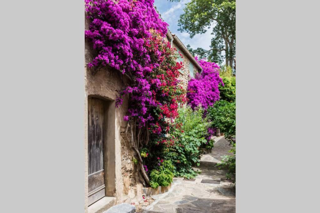 Coquet 2 Pieces Coeur Vieil Antibes Leilighet Eksteriør bilde